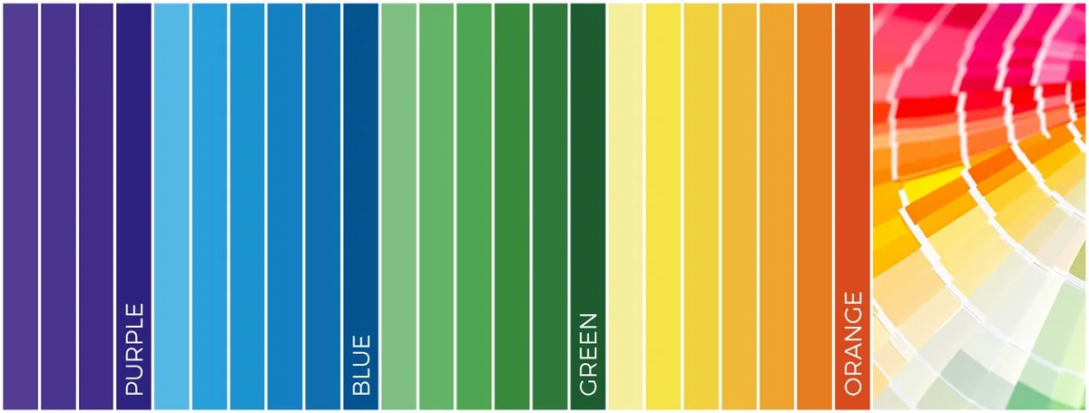 Color selection for custom bag materials